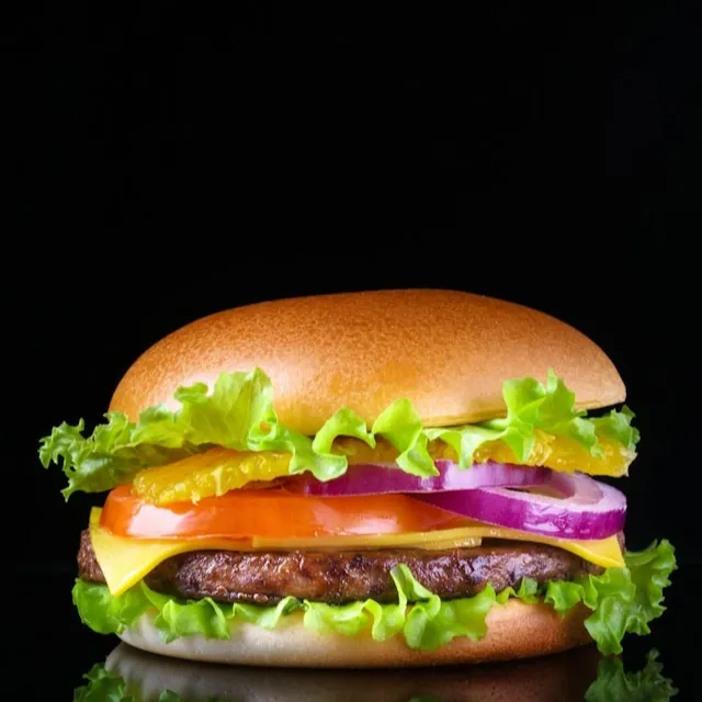 Chicken Zinger Burger